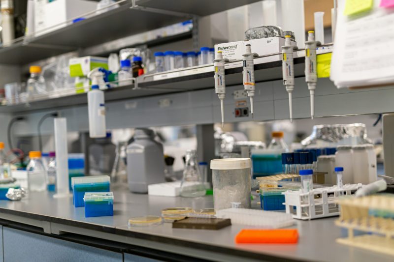 adam-bezer-oJnENqfM_H0-unsplash adam-bezer-oJnENqfM_H0-unsplash